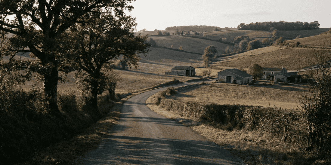 Full-Day vs Half-Day Douro Wine Tours