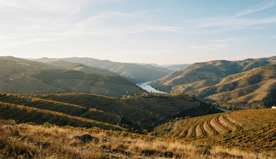 Is a Douro Wine Tour from Porto Worth It?