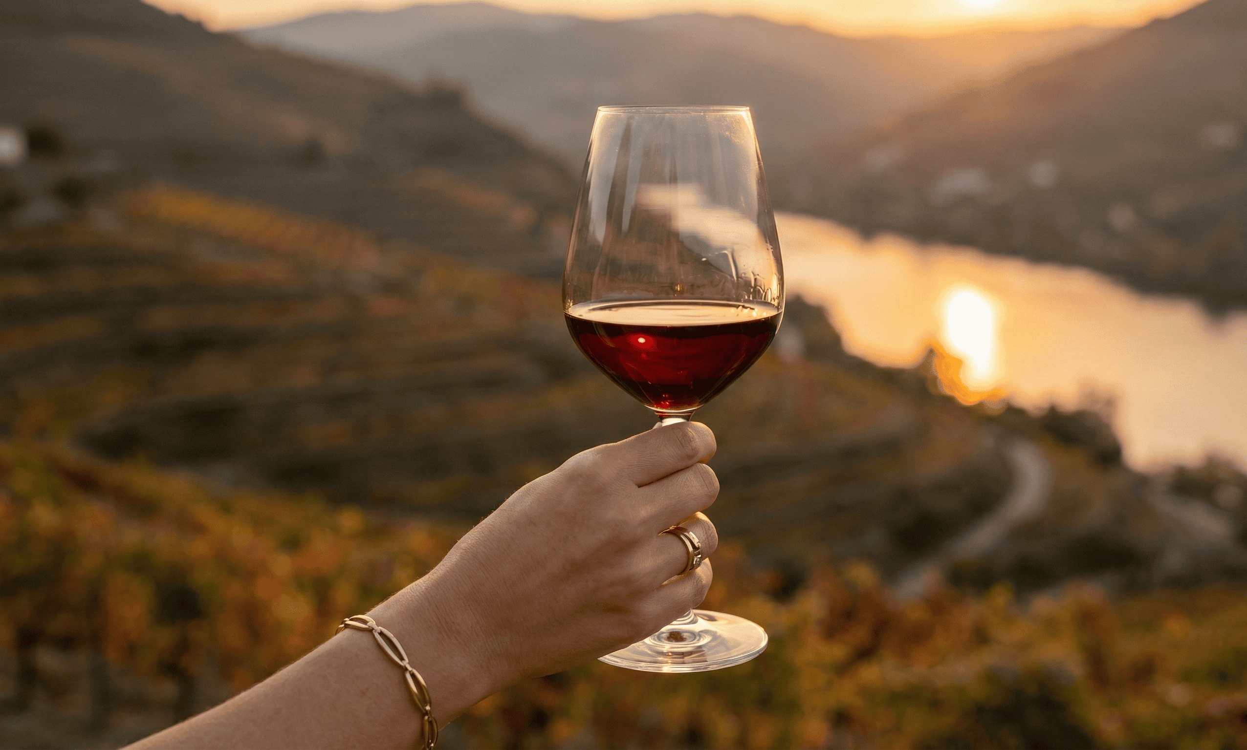 How Much Do Douro Wine Tours Cost?