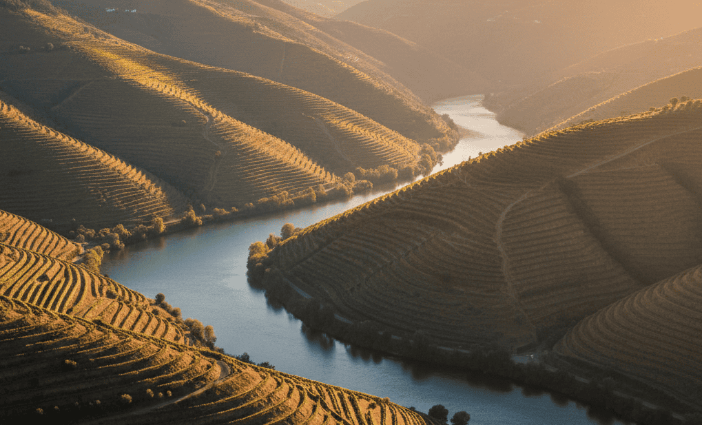 Douro Valley wine tour from Porto scenery